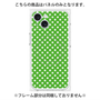 プレミアムパネル with MagSafe［ Small Dot - Green ］
