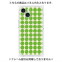 プレミアムパネル with MagSafe［ Big Dot - Green ］