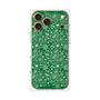 プレミアムパネル with MagSafe［ ペイズリー - Green ］
