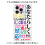 プレミアムパネル with MagSafe［ What is CASEPLAY? ］