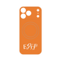 プレミアムパネル with MagSafe［ オリジナル - ESFP エンターテイナー - アルファベット - オレンジ ］