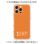 プレミアムパネル with MagSafe［ オリジナル - ISTP 巨匠 - アルファベット - オレンジ ］