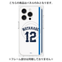 プレミアムパネル with MagSafe［ 埼玉西武ライオンズ- #12 WATANABE - ホーム ］