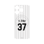 プレミアムパネル with MagSafe［ 千葉ロッテマリーンズ - #37 F.ONO ］