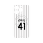 プレミアムパネル with MagSafe［ 千葉ロッテマリーンズ - #41 ICHIJO ］