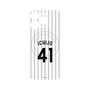 プレミアムパネル with MagSafe［ 千葉ロッテマリーンズ - #41 ICHIJO ］