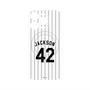 プレミアムパネル with MagSafe［ 千葉ロッテマリーンズ - #42 JACKSON ］