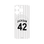 プレミアムパネル with MagSafe［ 千葉ロッテマリーンズ - #42 JACKSON ］
