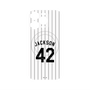 プレミアムパネル with MagSafe［ 千葉ロッテマリーンズ - #42 JACKSON ］