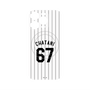 プレミアムパネル with MagSafe［ 千葉ロッテマリーンズ - #67 CHATANI ］
