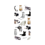 プレミアムパネル［ キャットコレクション ］