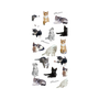 プレミアムパネル［ キャットコレクション ］