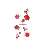 プレミアムパネル［ DRAWING PAPER Red ］