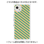 プレミアムパネル［ Small Stripe - Green × Orange ］