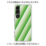 プレミアムパネル［ Middle Stripe - Green ］