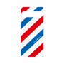 プレミアムパネル［ Big Stripe - Red × Blue ］