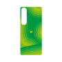 プレミアムパネル［ CASEPLAY Winding Pattern - Green ］