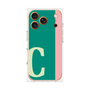 プレミアムパネル［ オリジナル - initial color line - C green ］