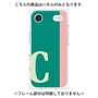 プレミアムパネル［ オリジナル - initial color line - C green ］