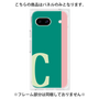 プレミアムパネル［ オリジナル - initial color line - C green ］