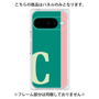 プレミアムパネル［ オリジナル - initial color line - C green ］