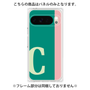 プレミアムパネル［ オリジナル - initial color line - C green ］
