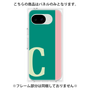 プレミアムパネル［ オリジナル - initial color line - C green ］