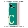 プレミアムパネル［ オリジナル - initial color line - C green ］