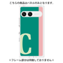プレミアムパネル［ オリジナル - initial color line - C green ］