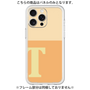 プレミアムパネル［ オリジナル - initial two tone - T orange ］