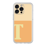 プレミアムパネル［ オリジナル - initial two tone - T orange ］