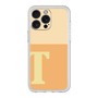 プレミアムパネル［ オリジナル - initial two tone - T orange ］