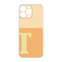 プレミアムパネル［ オリジナル - initial two tone - T orange ］