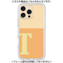 プレミアムパネル［ オリジナル - initial two tone - T orange ］