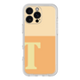 プレミアムパネル［ オリジナル - initial two tone - T orange ］