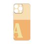 プレミアムパネル［ オリジナル - initial two tone - A orange ］
