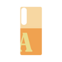 プレミアムパネル［ オリジナル - initial two tone - A orange ］