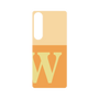 プレミアムパネル［ オリジナル - initial two tone - W orange ］