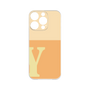 プレミアムパネル［ オリジナル - initial two tone - Y orange ］