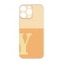 プレミアムパネル［ オリジナル - initial two tone - Y orange ］
