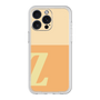 プレミアムパネル［ オリジナル - initial two tone - Z orange ］