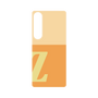 プレミアムパネル［ オリジナル - initial two tone - Z orange ］