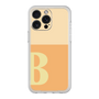 プレミアムパネル［ オリジナル - initial two tone - B orange ］