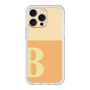 プレミアムパネル［ オリジナル - initial two tone - B orange ］