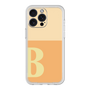 プレミアムパネル［ オリジナル - initial two tone - B orange ］
