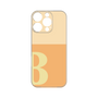 プレミアムパネル［ オリジナル - initial two tone - B orange ］