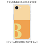 プレミアムパネル［ オリジナル - initial two tone - B orange ］
