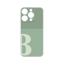 プレミアムパネル［ オリジナル - initial two tone - B green ］