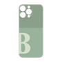 プレミアムパネル［ オリジナル - initial two tone - B green ］