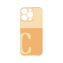 プレミアムパネル［ オリジナル - initial two tone - C orange ］